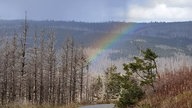Weg in den Bergen mit Regenbogen