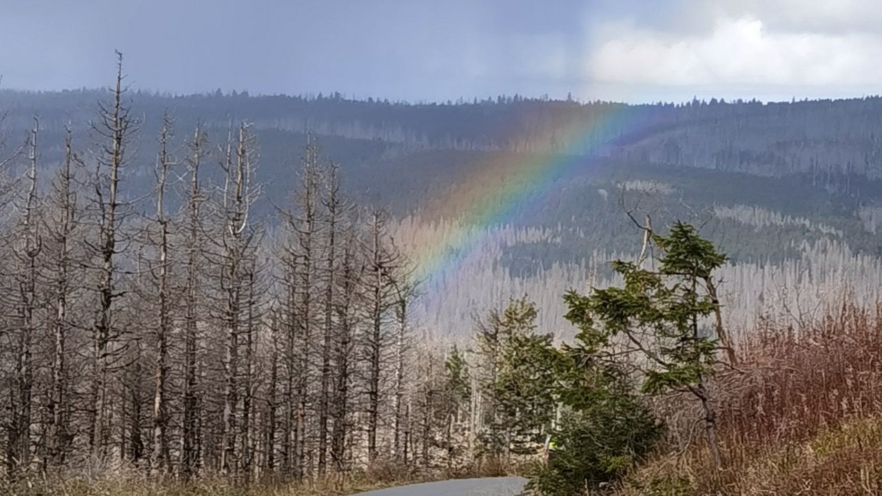 Weg in den Bergen mit Regenbogen