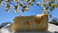 Ihre schönsten Backfotos