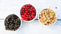 Johannisbeeren 