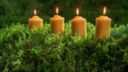Moos-Adventskranz