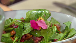 Lauwarmer Pfifferlingsalat mit Babyspinat, Speck und Senf-Vinaigrette