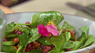 Lauwarmer Pfifferlingsalat mit Babyspinat, Speck und Senf-Vinaigrette