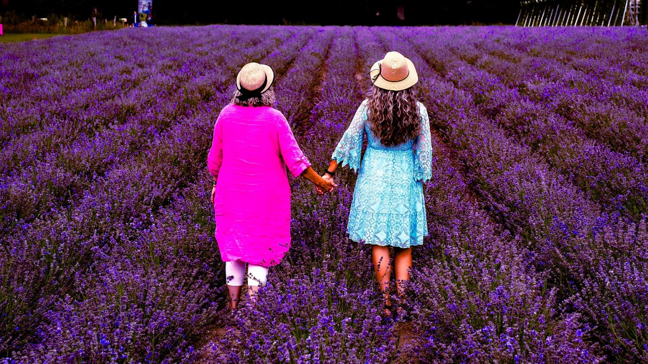 Lavendel 