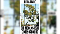 Schriftsteller Denis Pfabe