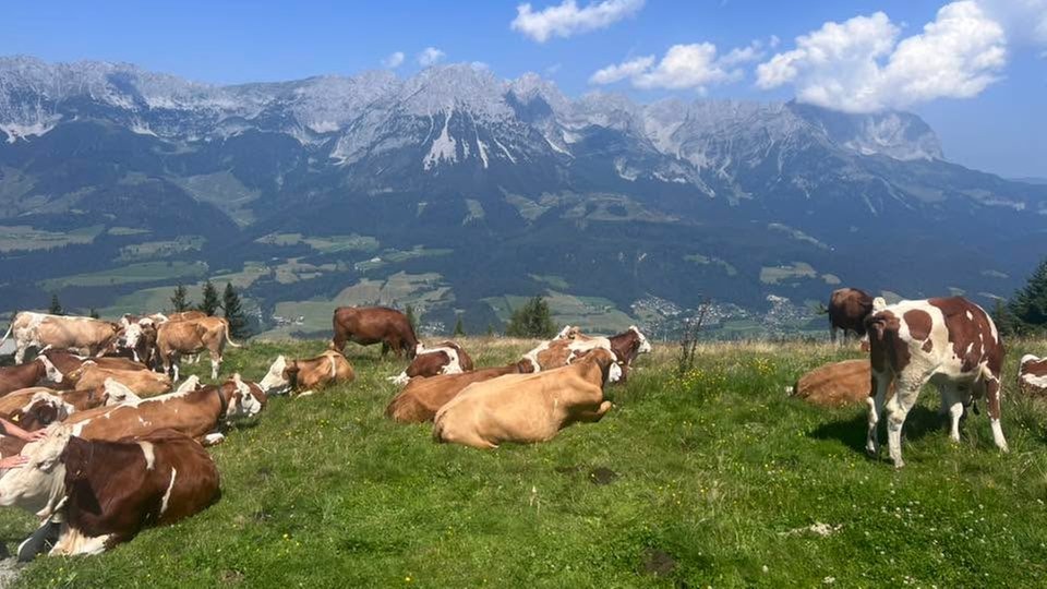 letzter Urlaubstag