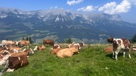 letzter Urlaubstag