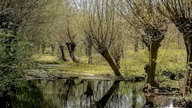 Lieblingsplatz am Wasser – Ihre schönsten Fotos!