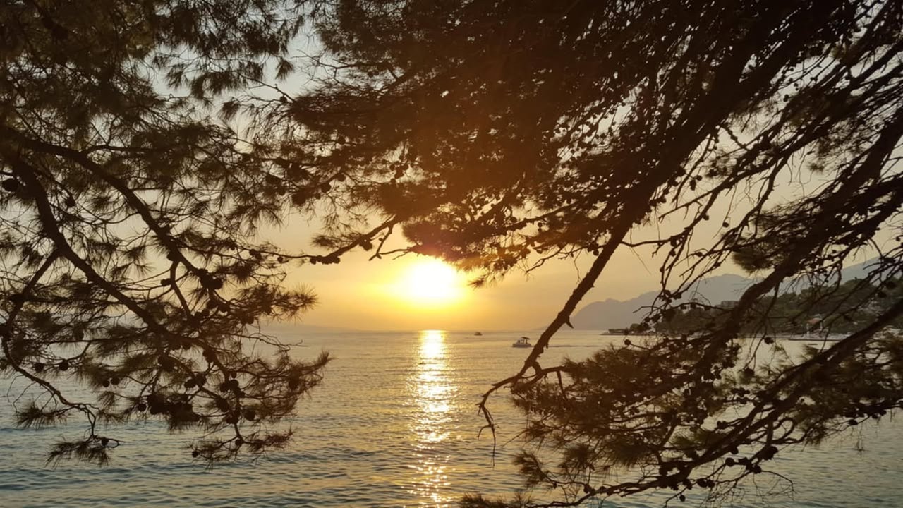 Lieblingsplatz am Wasser – Ihre schönsten Fotos!