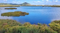 Lieblingsplatz am Wasser – Ihre schönsten Fotos!