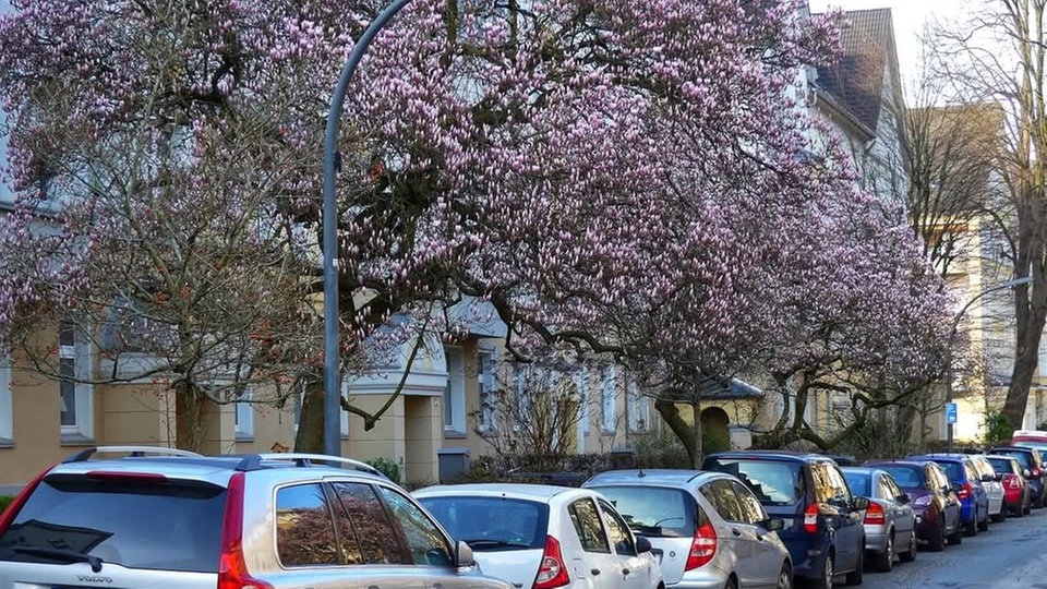 Lieblingsstraßen