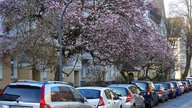 Lieblingsstraßen
