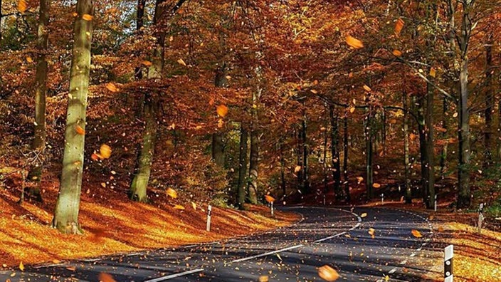 Lieblingsstraßen