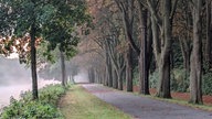Lieblingsstraßen