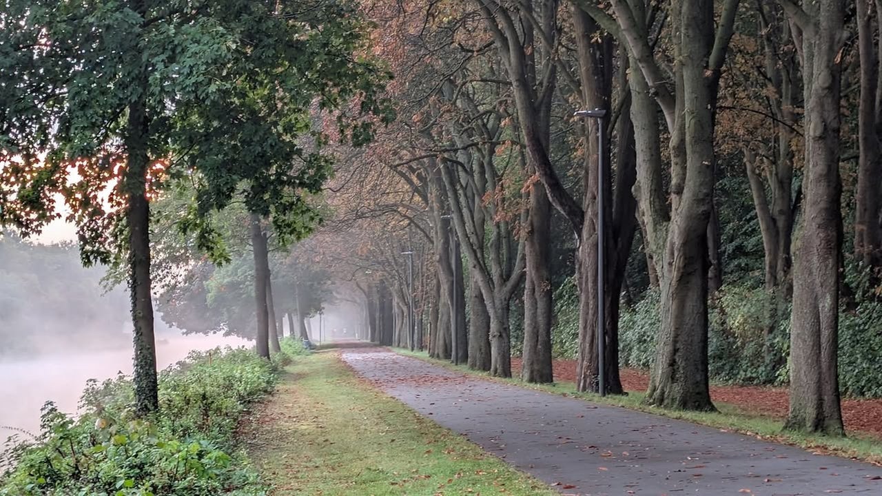 Lieblingsstraßen