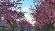 Lieblingsstraßen