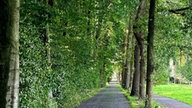 Lieblingsstraßen