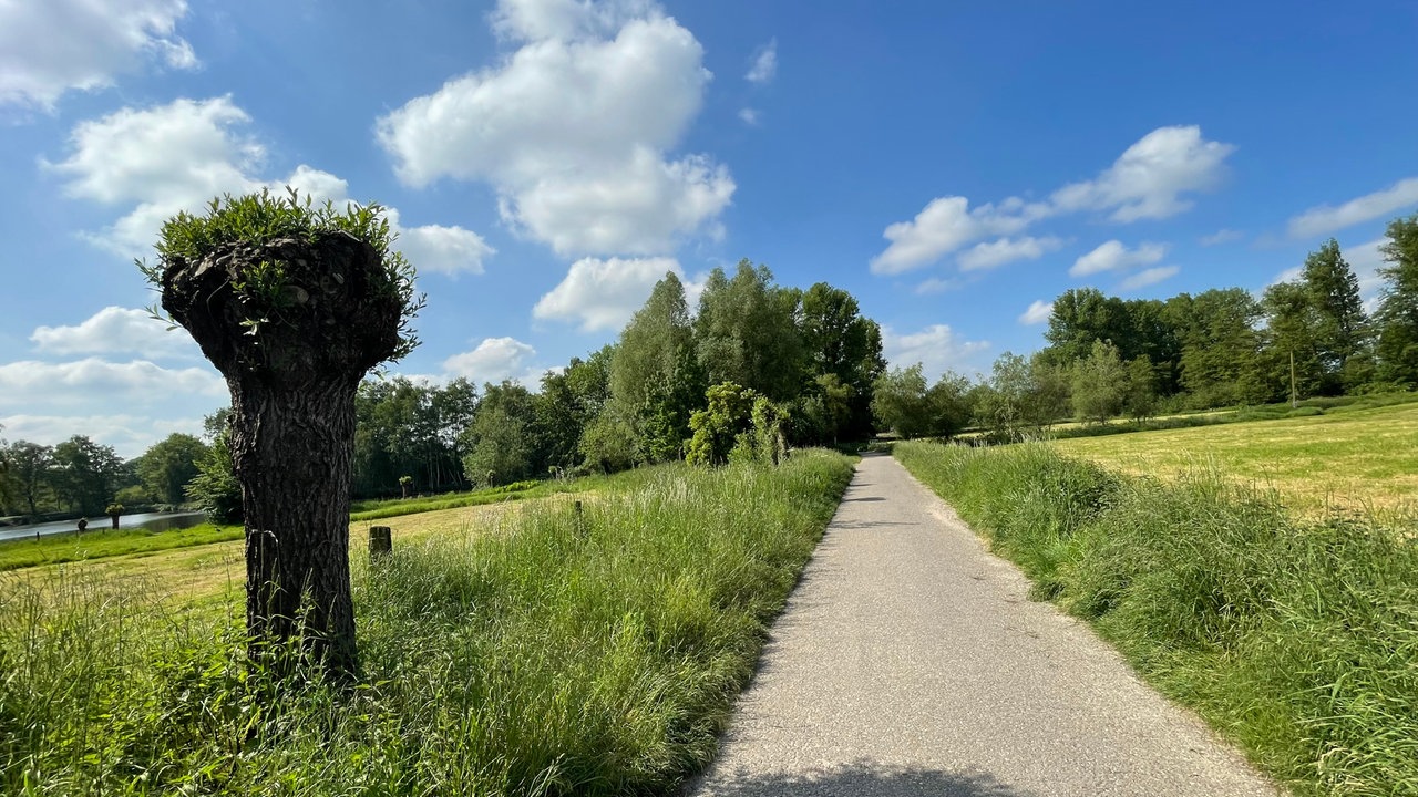 Lieblingsstraßen