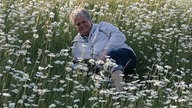 Ihre schönsten Margeritenfotos 