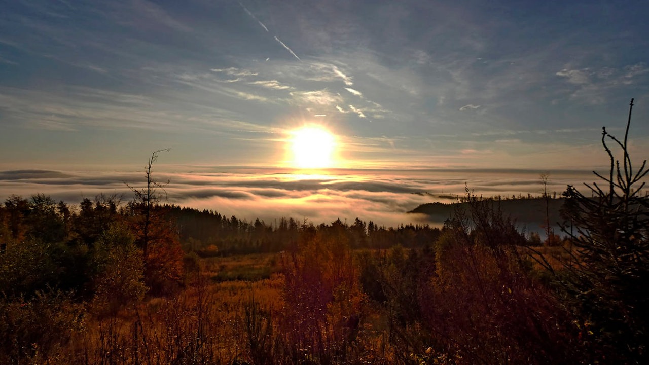 Blick auf die Medebacher Bucht, die im Nebel von der aufgehenden Sonne beschienen wird.