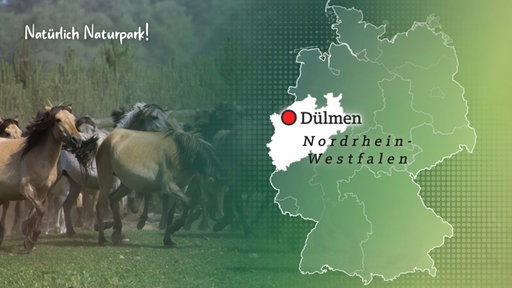 Natürlich Naturpark – WDR: Hohe Mark 
