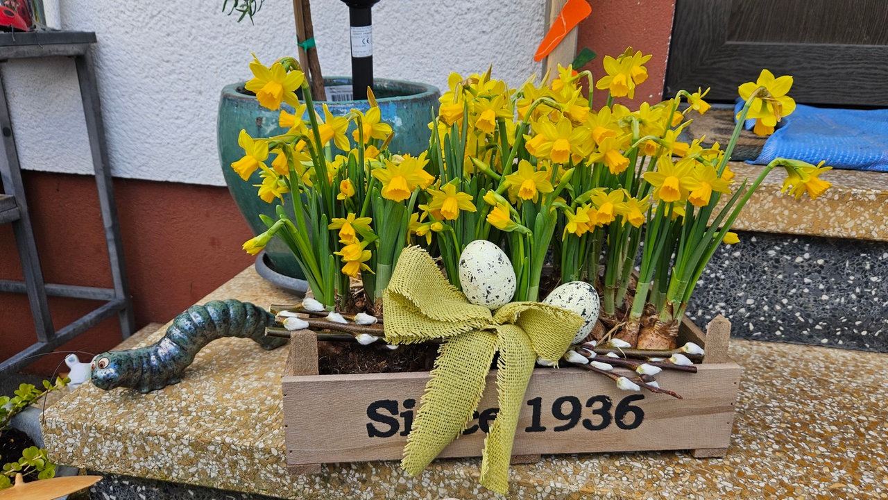 Osterdeko – Ihre schönsten Fotos