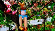 Schönsten Ostehasen-Fotos