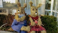 Schönsten Osterhasen-Fotos