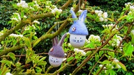 Schönsten Osterhasen-Fotos
