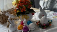 Schönsten Osterhasen-Fotos