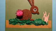 Schönsten Osterhasen-Fotos