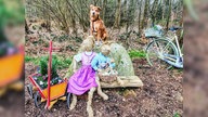 Schönsten Osterhasen-Fotos