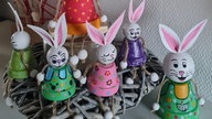 Schönsten Osterhasen-Fotos