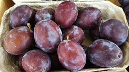 Pflaumen