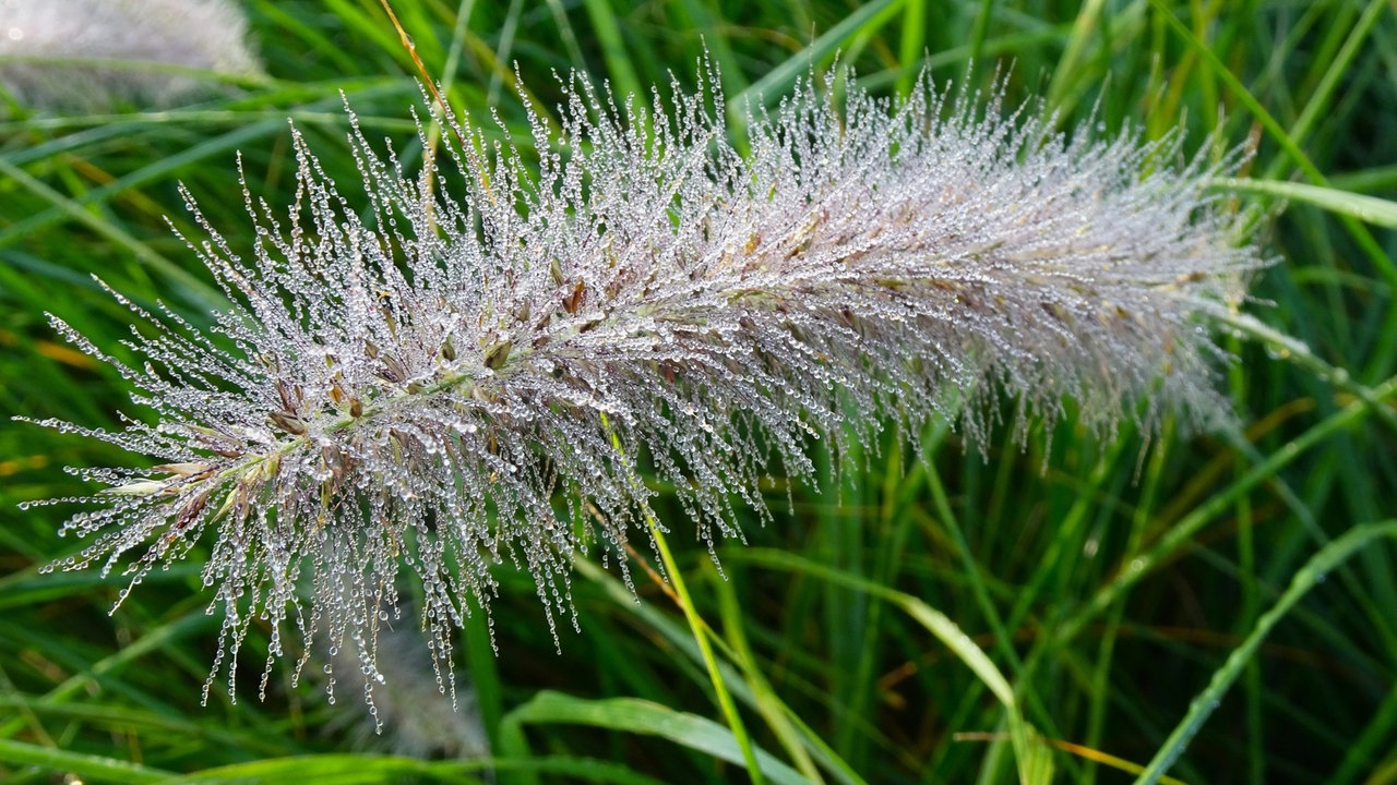Zuschauerbilder