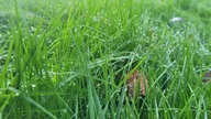 Zuschauerbilder