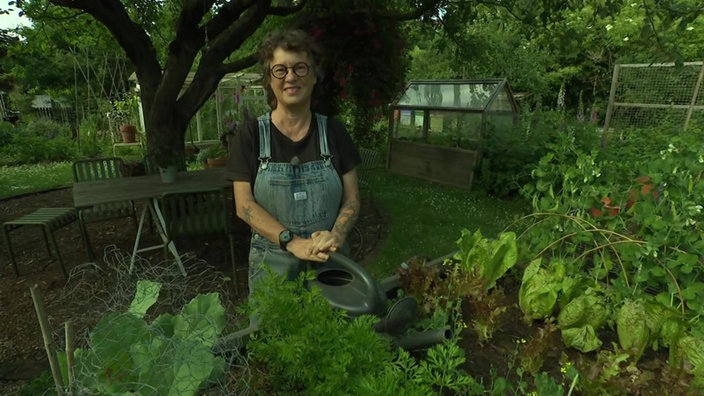 Garten unterwegs: Richtig gießen im Sommer 