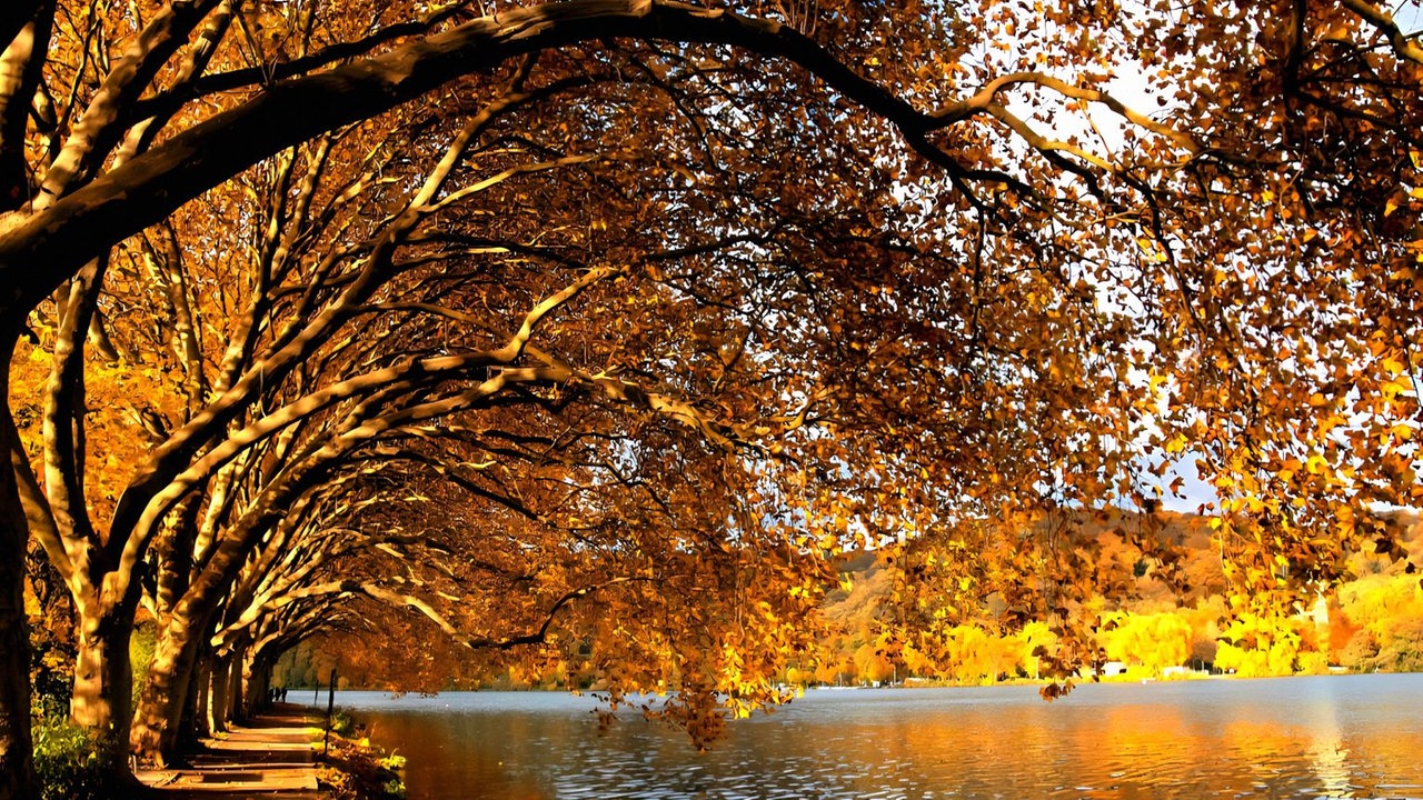 romantische Herbstlandschaft