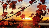 romantische Herbstlandschaft