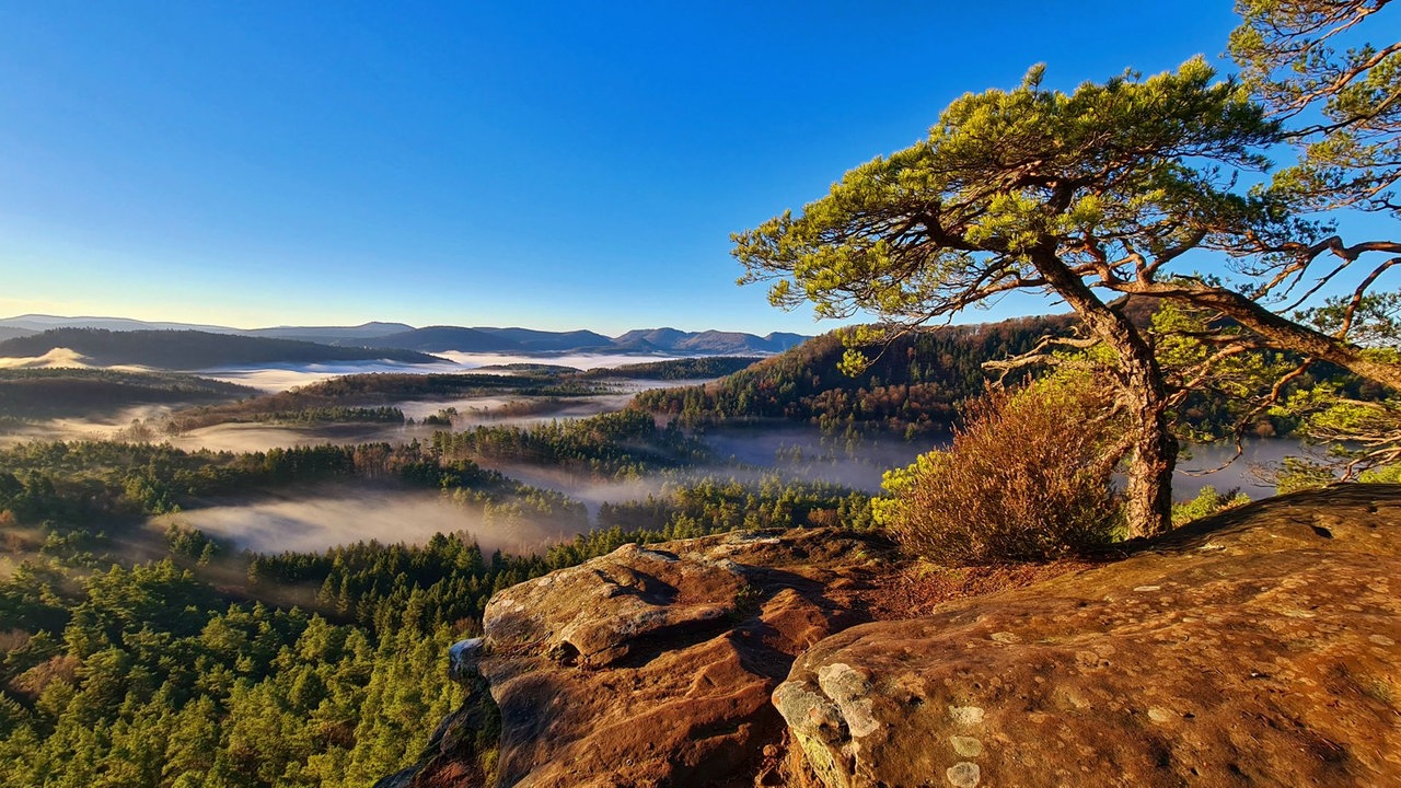 romantische Herbstlandschaft