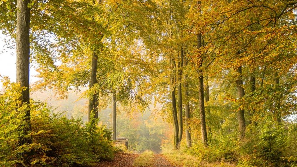 romantische Herbstlandschaft