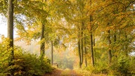 romantische Herbstlandschaft