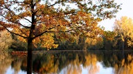 romantische Herbstlandschaft