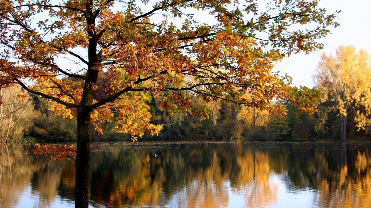 romantische Herbstlandschaft