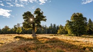 romantische Herbstlandschaft