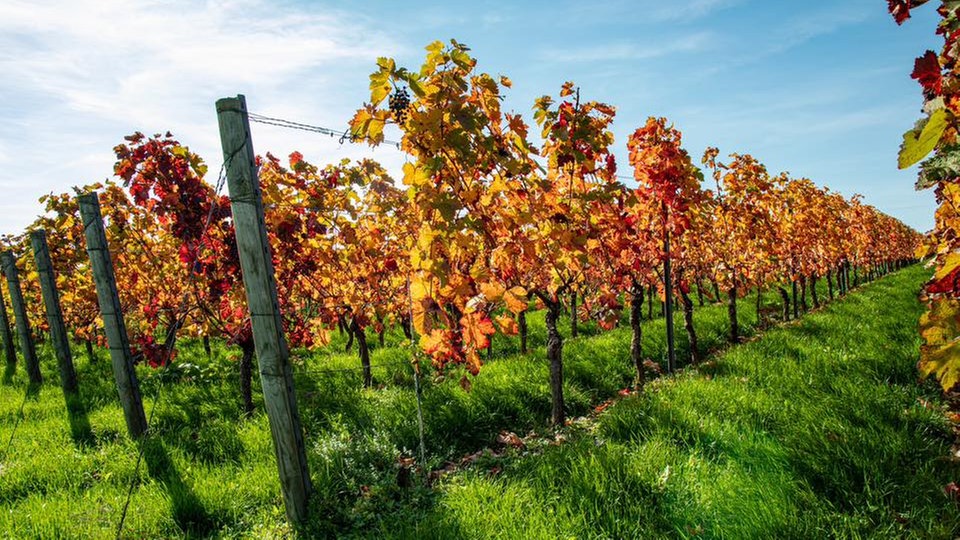 romantische Herbstlandschaft