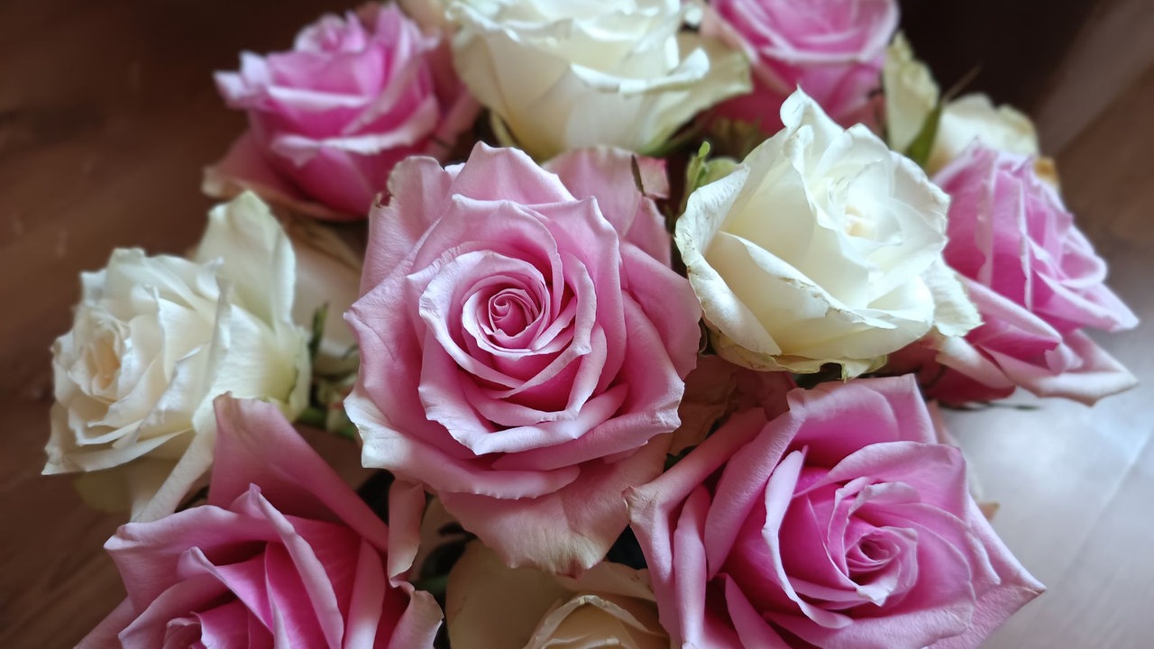 Rosen 