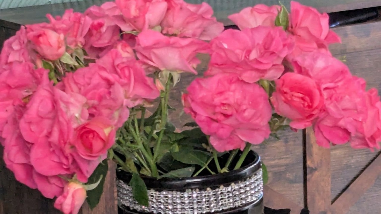 Rosen 