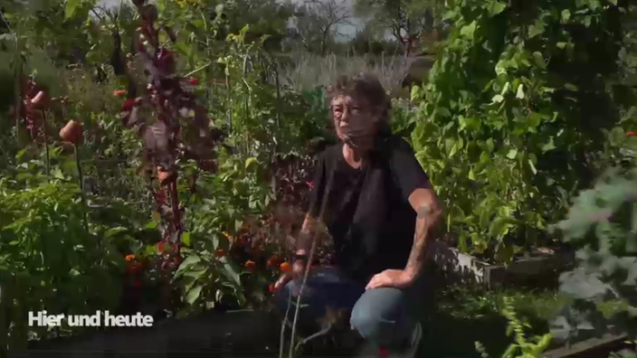 Garten unterwegs: Saatgut selbst ernten 
