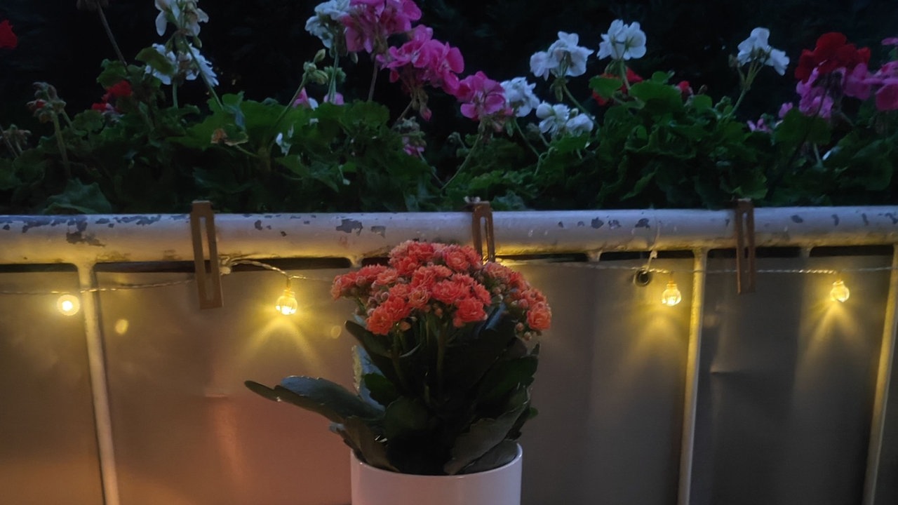 Ihre schönste Herbstdeko